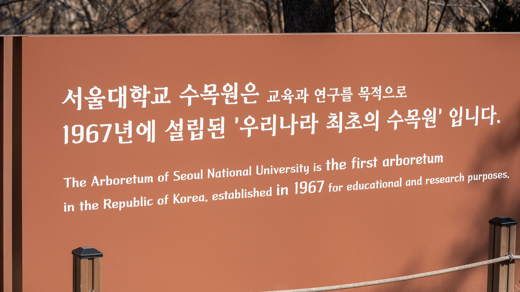 서울대학교 수목원 탐방 260321